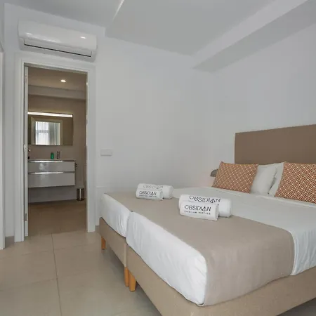 Obsidian Atico Mencey Apartment
